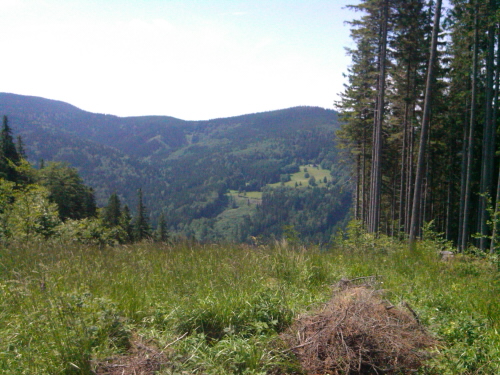 Ze Skalky do Dolní Lomné 1