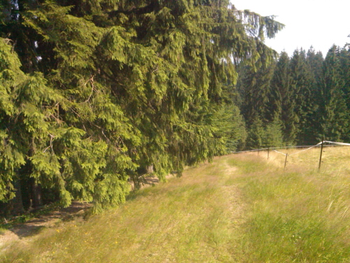 Z Lačnova na Salajku 1